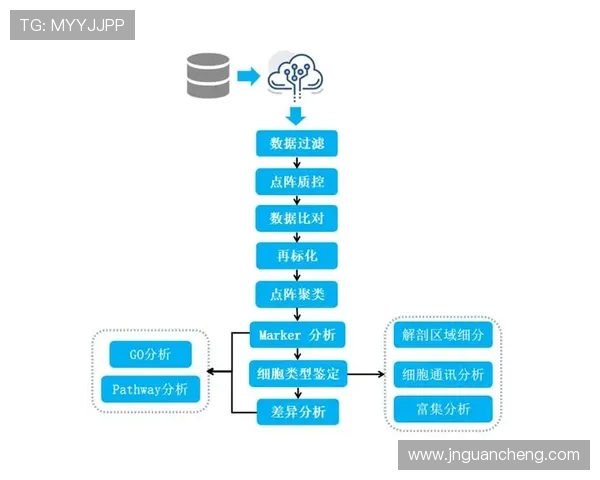 广州羽毛球队力量表现的数据分析与训练策略探讨