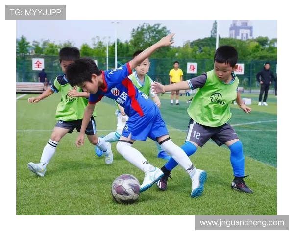 从绿茵战术到球星传奇深入解析现代足球文化与竞技精神魅力全景展